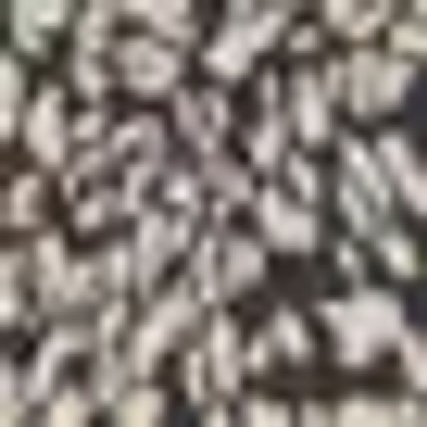 LASCANA Blusentop mit Knopfleiste und Animalprint, Damenbluse mit Hemdbluse günstig online kaufen