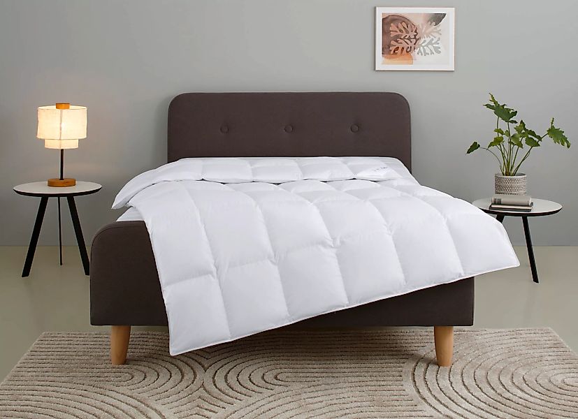 Home affaire Daunenbettdecke Litrone, Bettdecke 135x200 günstig online kaufen