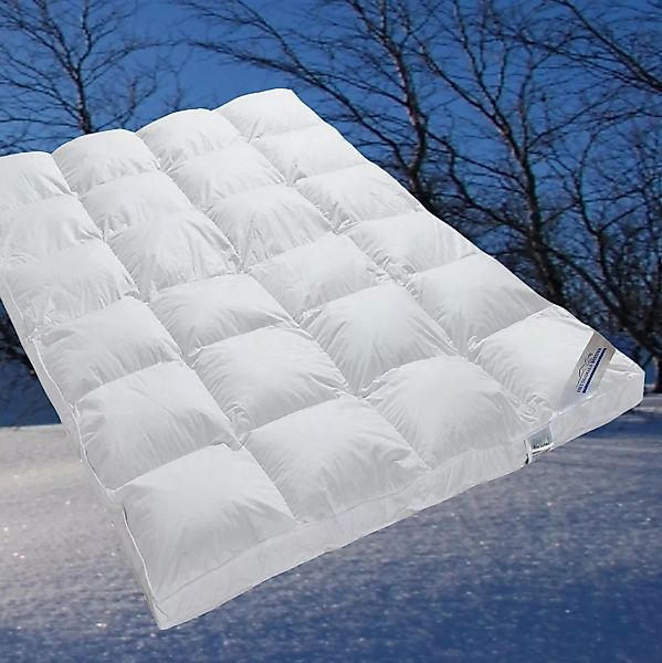 Super warme 100% Winter Hochsteg Daunenbett 1390g beste Daunen 155x220 günstig online kaufen