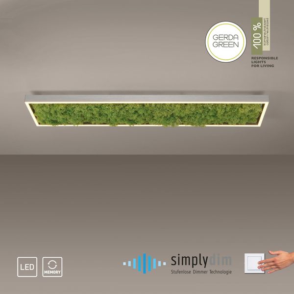 JUST LIGHT Deckenleuchte »GREEN KNUT« LED-Board 1 Stk. Warmweiß günstig online kaufen