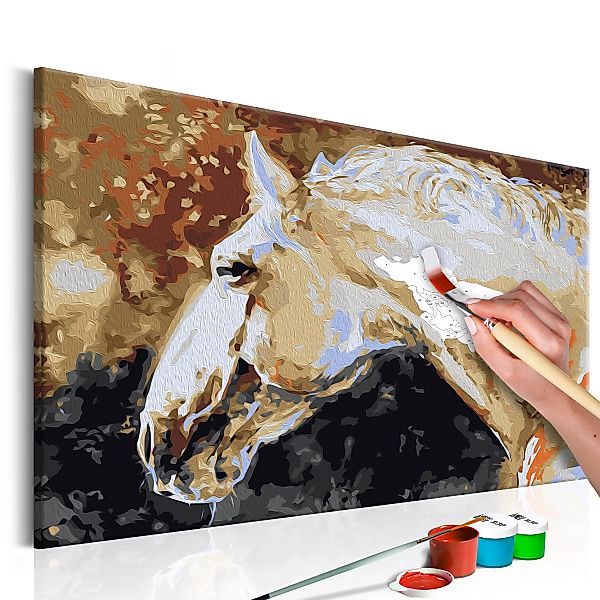 Malen Nach Zahlen - Weißes Pferd günstig online kaufen