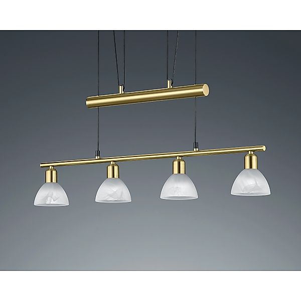 TRIO Leuchten LED Pendelleuchte »LEVISTO« günstig online kaufen