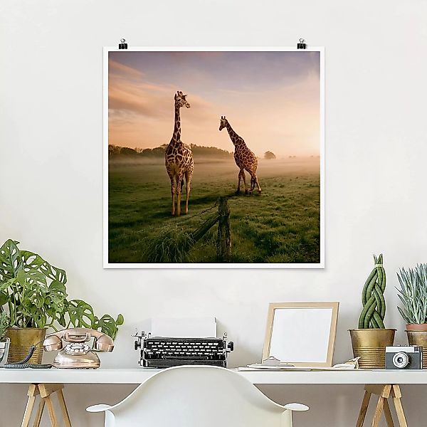 Poster Tiere - Quadrat Surreal Giraffes günstig online kaufen