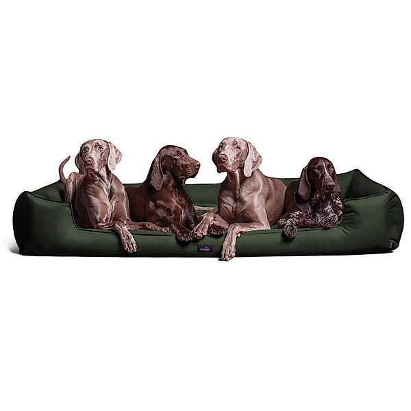 tierlando® Tierbett tierlando® Orthopädisches Hundebett GOOFY günstig online kaufen