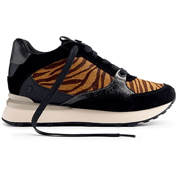 Gioseppo  Sneaker 77007 marron günstig online kaufen