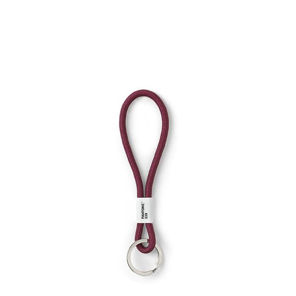 PANTONE Schlüsselanhänger, Design- Schlüsselband, Key Chain, günstig online kaufen