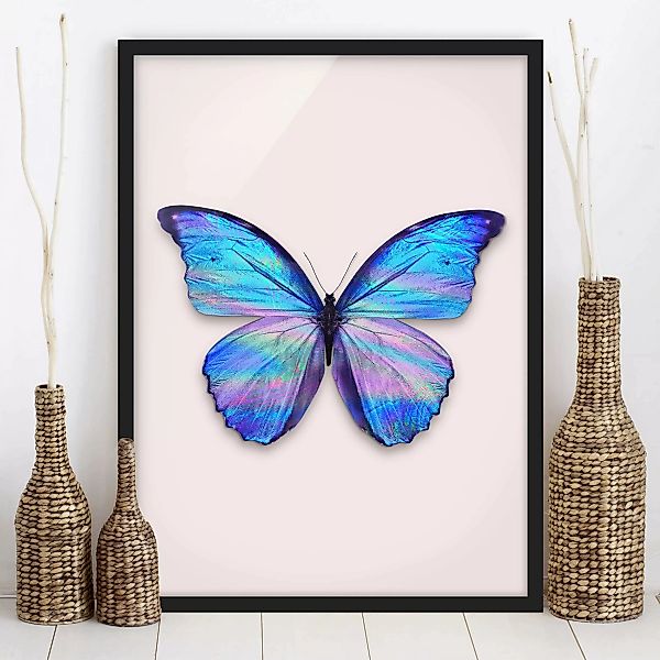 Bild mit Rahmen Tiere - Hochformat Holografischer Schmetterling günstig online kaufen