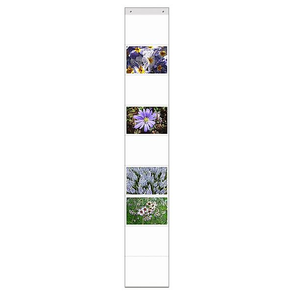 trendfinding Bilderrahmen Collage Fotovorhang mit Ösen günstig online kaufen