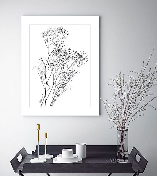 queence Bild Dana, Blumen, Pflanzen, Pflanzenbilder, günstig online kaufen
