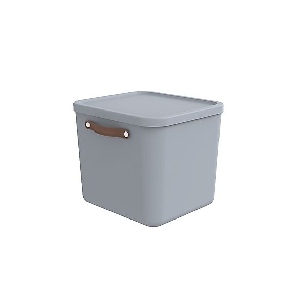 ROTHO Aufbewahrungsbox Aufbewahrungsbox mit Deckel 40 günstig online kaufen