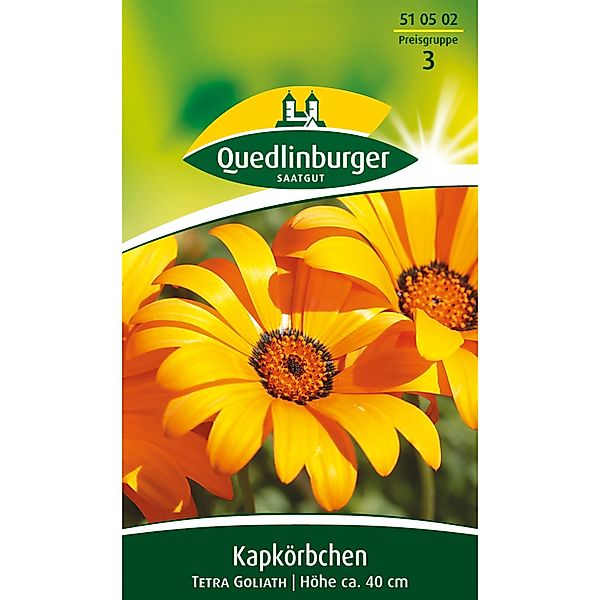 Quedlinburger Kapkörbchen ''Tetra Goliath'' günstig online kaufen