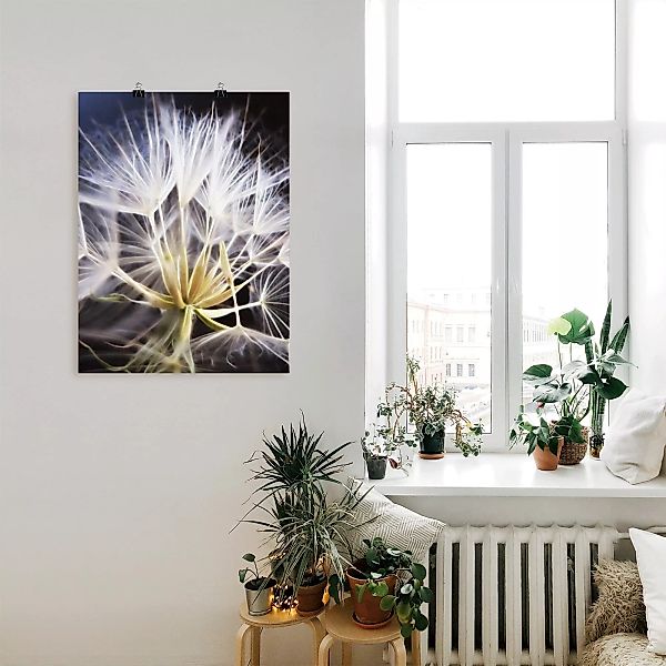 Artland Wandbild "Pusteblume", Blumen, (1 St.) günstig online kaufen