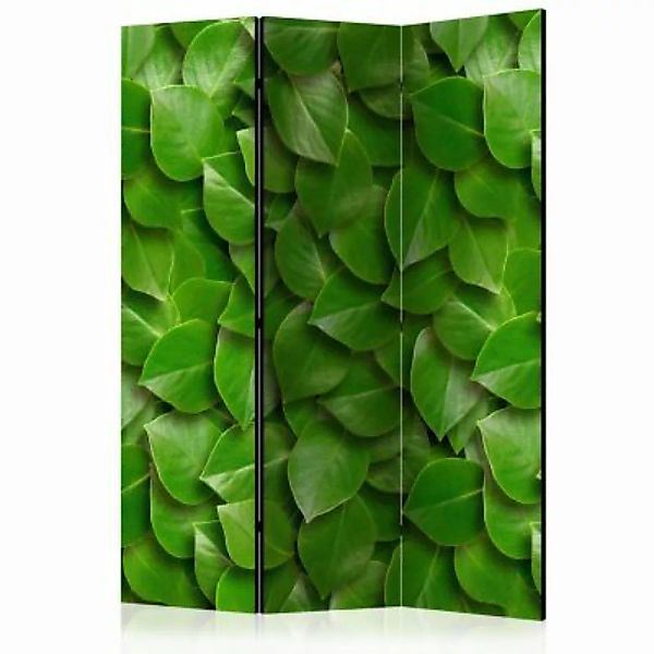 artgeist Paravent Secret Garden [Room Dividers] grün Gr. 135 x 172 günstig online kaufen