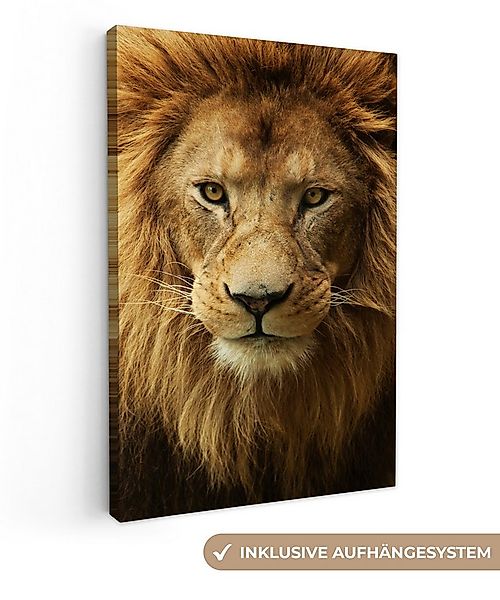 OneMillionCanvasses® Leinwandbild Porträt - Afrika - Löwe, Fotodruck (1 St) günstig online kaufen