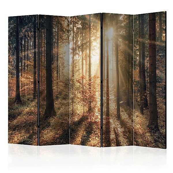 5-teiliges Paravent - Autumnal Forest Ii [room Dividers] günstig online kaufen