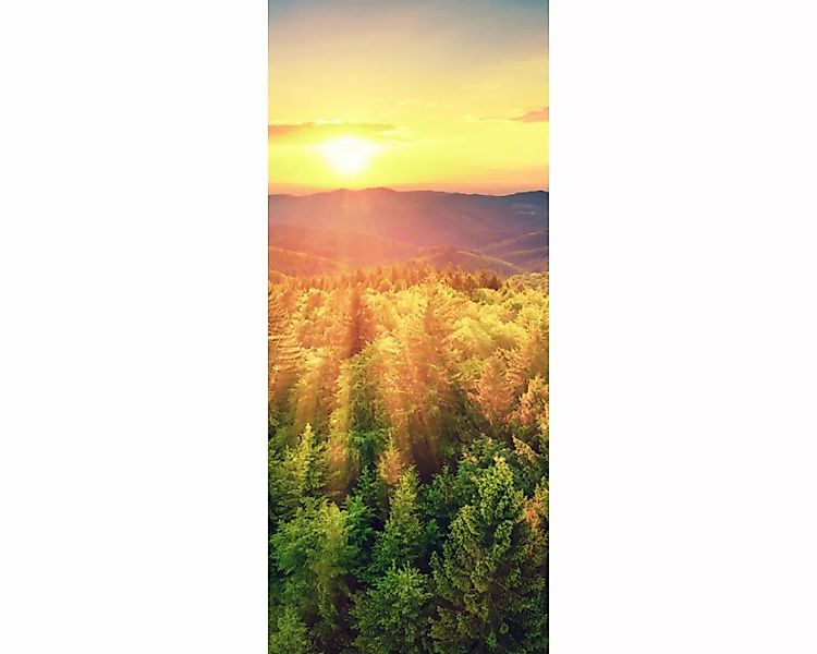 Trtapete "Sonne Tannen" 0,91x2,11 m / selbstklebende Folie günstig online kaufen