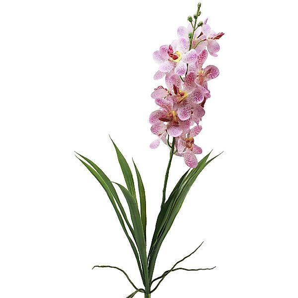 Kunstorchidee Künstliche Orchidee Pink Weiß Real-Touch günstig online kaufen