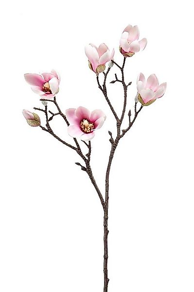 Kunstblume Blütenzweig Magnolie, Emerald, Höhe 65 cm, Farbe: Rosa, Motiv: M günstig online kaufen
