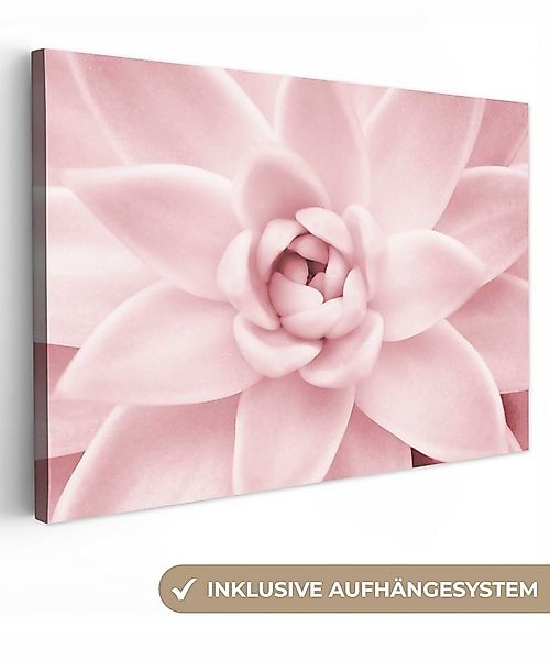 OneMillionCanvasses® Leinwandbild Blume - Rosa - Natur - Pflanze, Fotodruck günstig online kaufen