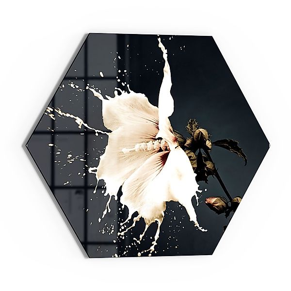 DEQORI Glasbild 'Milchige Blüte', 'Milchige Blüte', günstig online kaufen