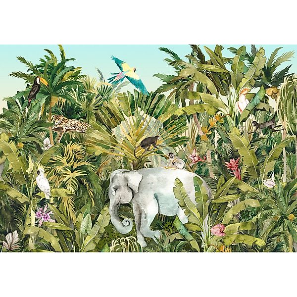 Komar Vliesfototapete Jungle Expedition 400 cm x 280 cm günstig online kaufen