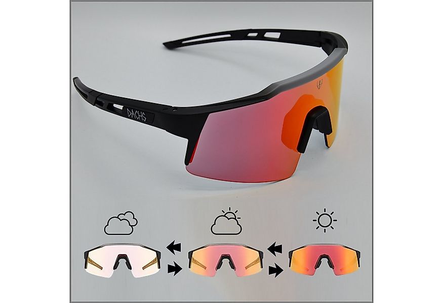 Dachs Sport Fahrradbrille DACHS Photochromatische Sonnenbrille - Selbsttöne günstig online kaufen