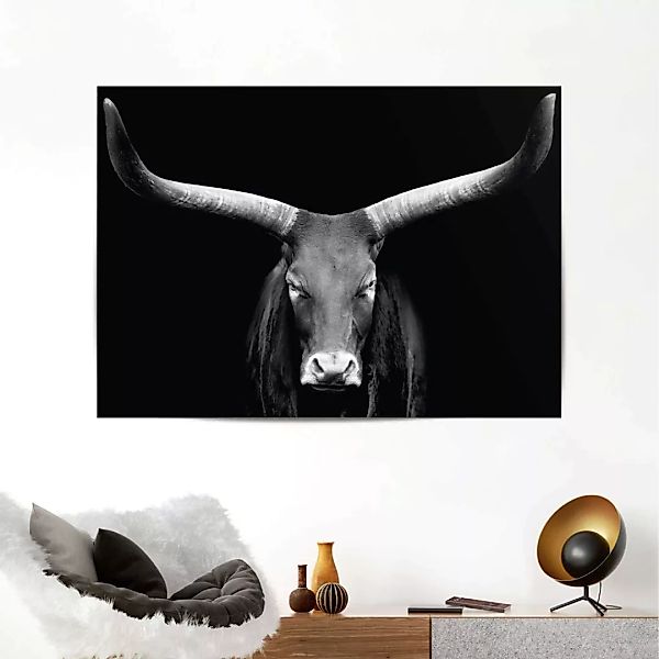 Reinders! Poster »Afrikanische Kuh« günstig online kaufen
