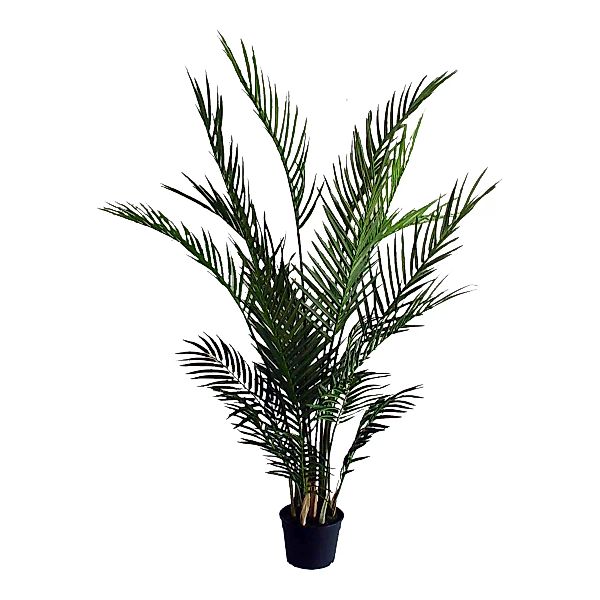 Topfpflanze Arecapalme ca. 120cm, grün günstig online kaufen