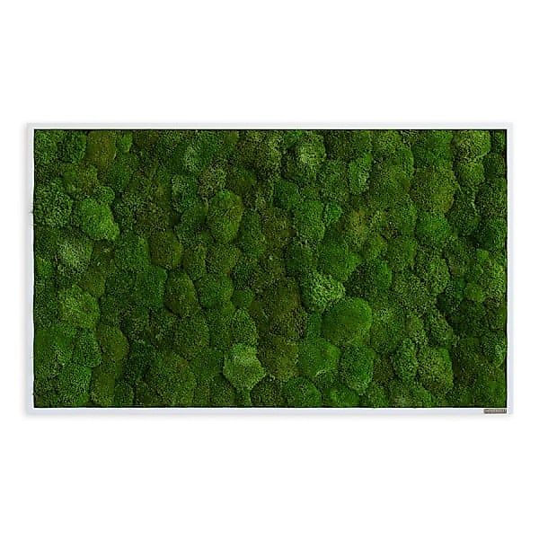 Moosbild im Kugelmoosdesign | 100x60cm | Vollholz Rahmen weiß günstig online kaufen