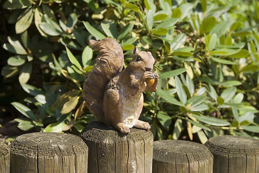 GartenHero Gartenfigur Gartenfigur Eichhörnchen Figur Dekofigur günstig online kaufen