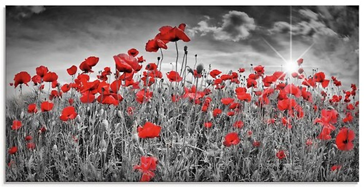 Artland Glasbild »Idyllisches Mohnblumenfeld mit Sonne« 1 Stk. tlg. in vers günstig online kaufen