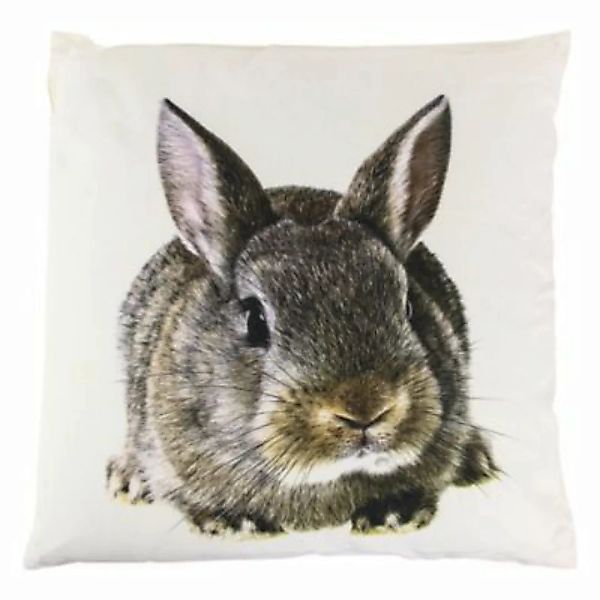 Kissen Kissenbezug Hase Kaninchen 50x50cm mit Füllung Deko Kuschel bunt günstig online kaufen