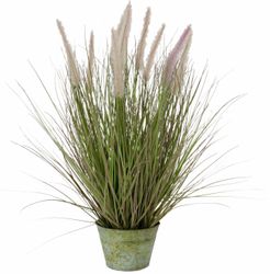 I.GE.A. Kunstpflanze "Fuchsschwanzgras" günstig online kaufen