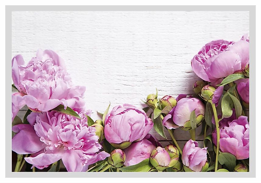 queence Bild "Karen", Blumen, Rosen, gerahmt günstig online kaufen
