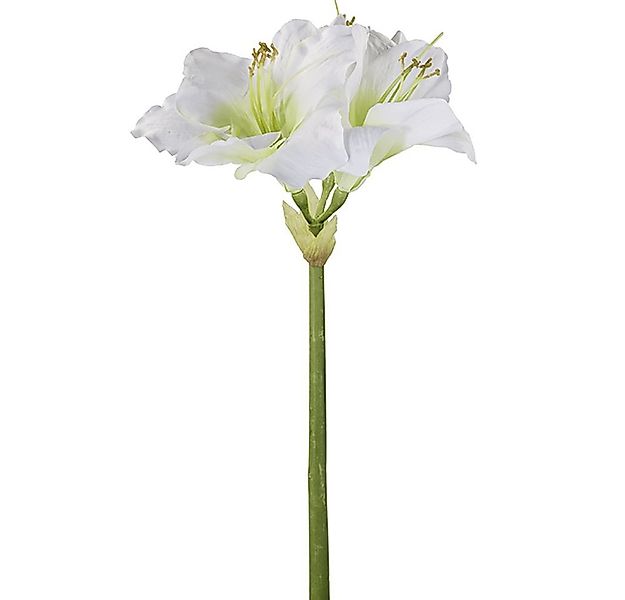 Kunstpflanze FINK Kunstblume Amaryllis - weiß - H. 1cm x B. 15cm, Fink günstig online kaufen