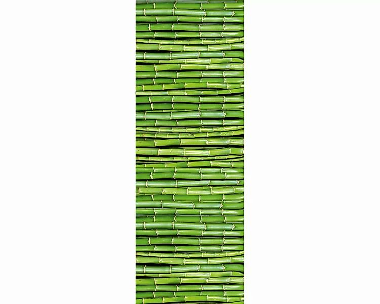 Dekopanel "Bambusstreben" 1,00x2,80 m / Glattvlies Brillant günstig online kaufen