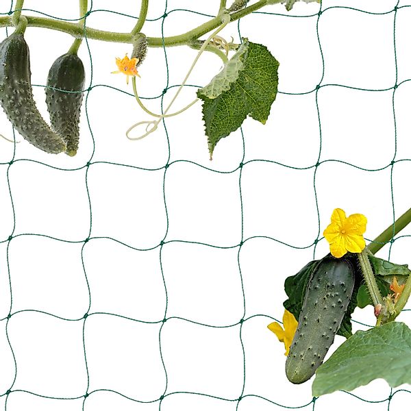 relaxdays Rankhilfe Ranknetz 200 x 1000 günstig online kaufen