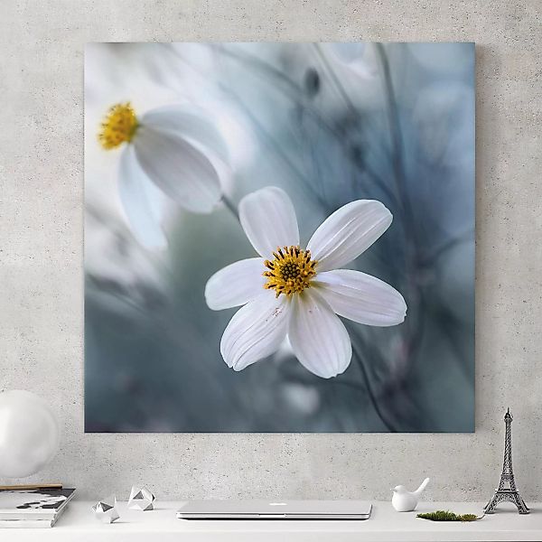 Leinwandbild Blumen - Quadrat Kosmeen in Pastell günstig online kaufen