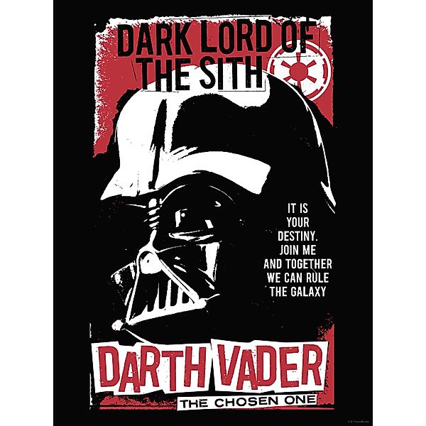 Komar Wandbild Star Wars Darth Vader The Chosen One 30 cm x 40 cm Rot günstig online kaufen