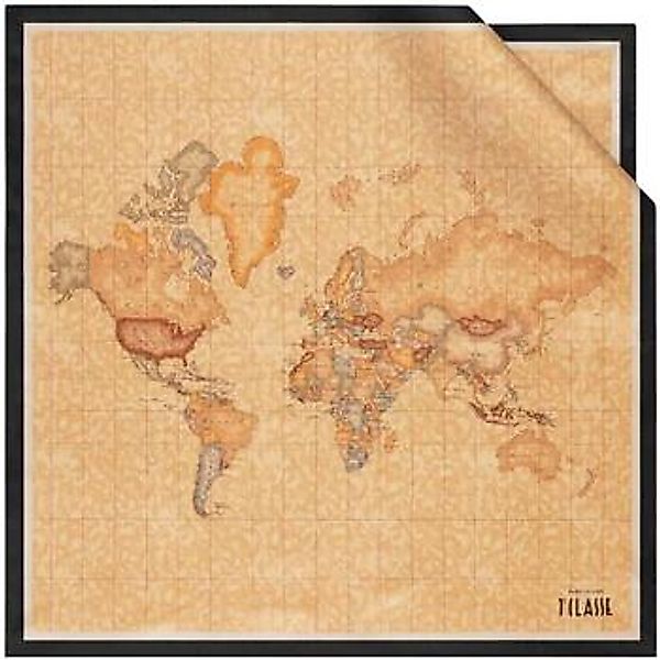 Alviero Martini  Schal 3270 ALOE günstig online kaufen