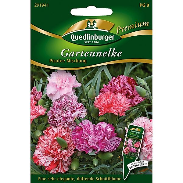 Quedlinburger Gartennelken ''Picotee Mischung'' günstig online kaufen