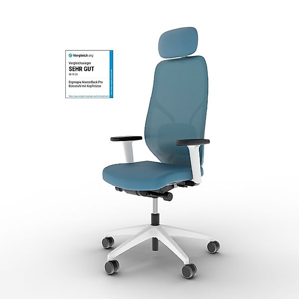 Ergotopia Bürostuhl MasterBack ergonomischer Schreibtischstuhl mit günstig online kaufen