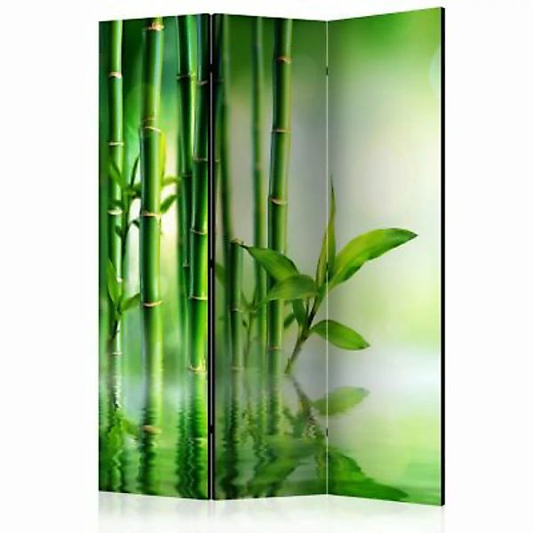 artgeist Paravent Bamboo Grove [Room Dividers] grün Gr. 135 x 172 günstig online kaufen