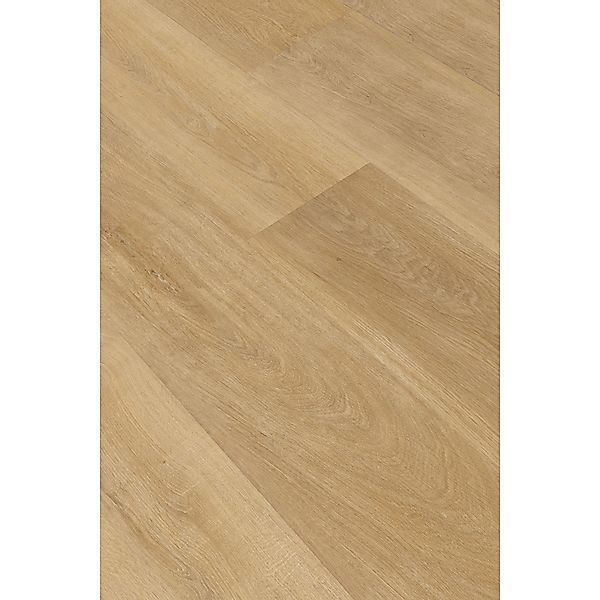 Klebe-Vinylboden World of Dryback Akron Oak Breitdiele Town günstig online kaufen