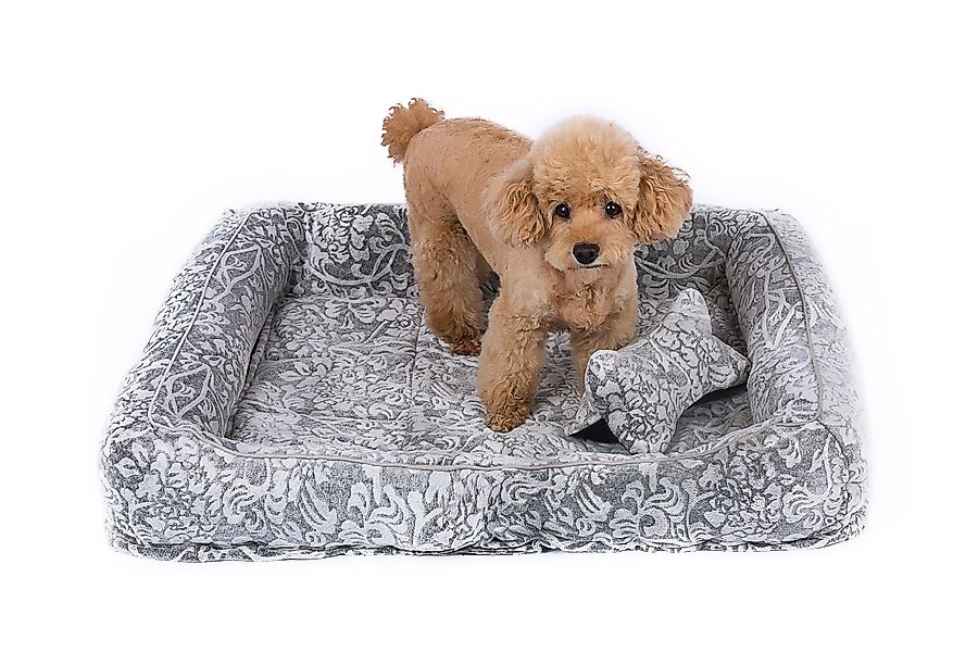 RAIKOU Hundematte Hundebett mit Abnehmbarem Kissen, günstig online kaufen