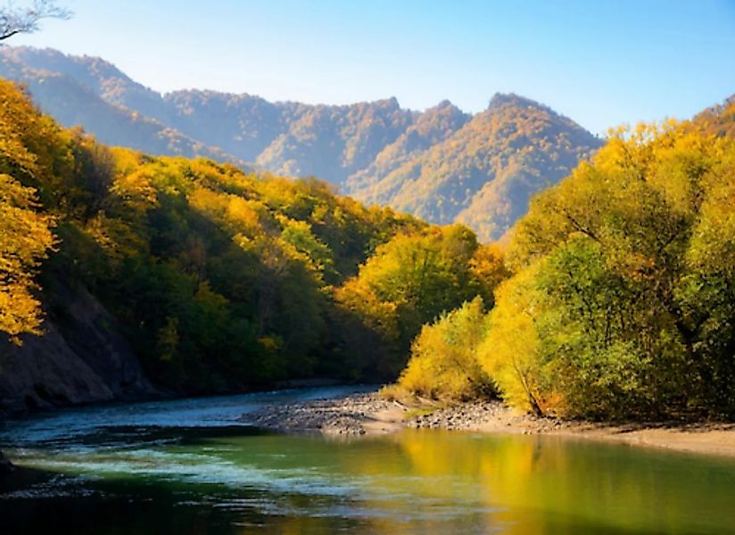 Papermoon Fototapete »Autumn Mountain Forest River« günstig online kaufen