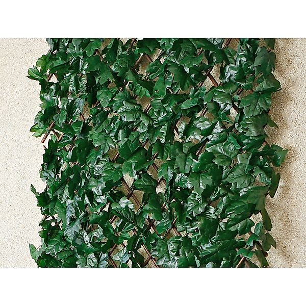 Kunsthecke Rankhecke-Weide - 1x2 m - günstig online kaufen