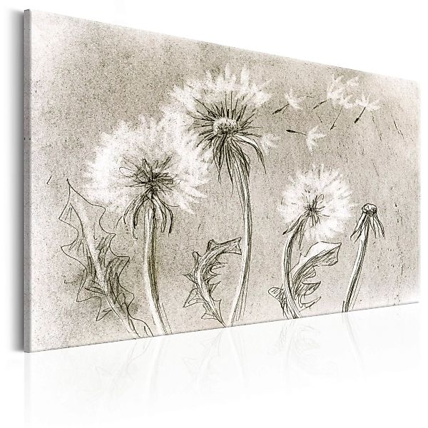 Wandbild - Dandelions (Pencil Artwork) günstig online kaufen