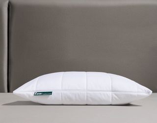 fan Microfaserkissen "Stützendes Kopfkissen Komfort Plus XXL-Warm, in 40x80 günstig online kaufen