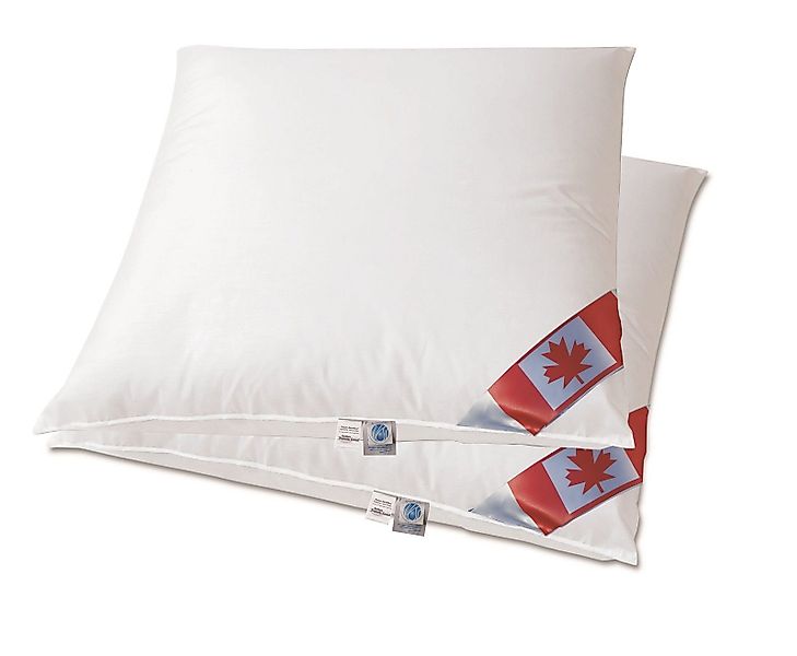 Canada Kopfkissen Air-O-Cell Pure Classic Kissen günstig online kaufen